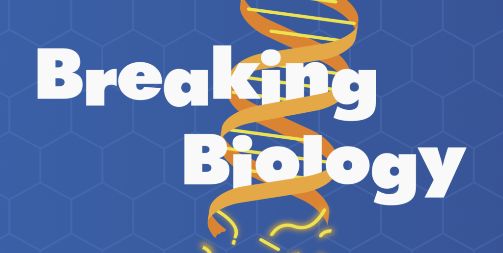 Screenshot 2025 06 15 at 6.20.09 pm